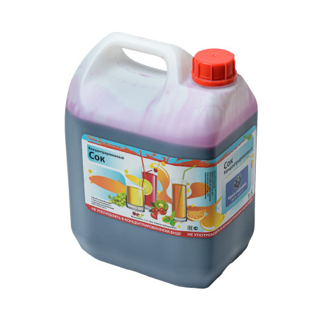 Concentrated juice "Blackcurrant" 5 kg в Туле